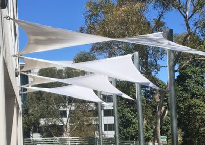 Roche Diagnostics, Ryde